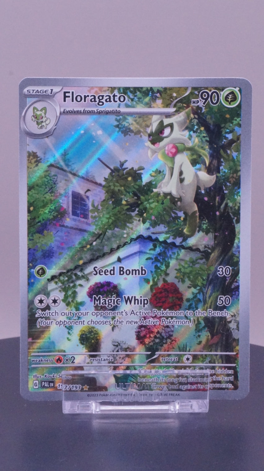 Floragato Illustration Rare SV02: Paldea Evolved 197/193 NM