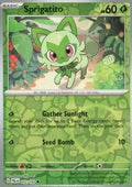Sprigatito - Common SV02: Paldea Evolved 012/193 NM