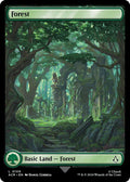 Forest (0109) L Universes Beyond: Assassin's Creed 109 NM (Back)
