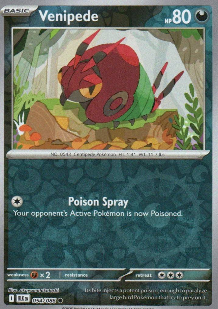 Venipede Common SV: Black Bolt 054/086 NM