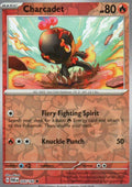 Charcadet - Common SV04: Paradox Rift 026/182 NM